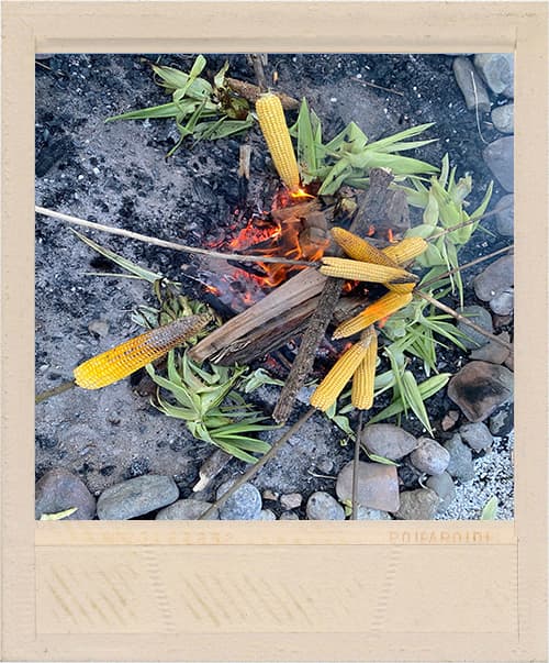 Frisch geernteter Mais am offenen Feuer