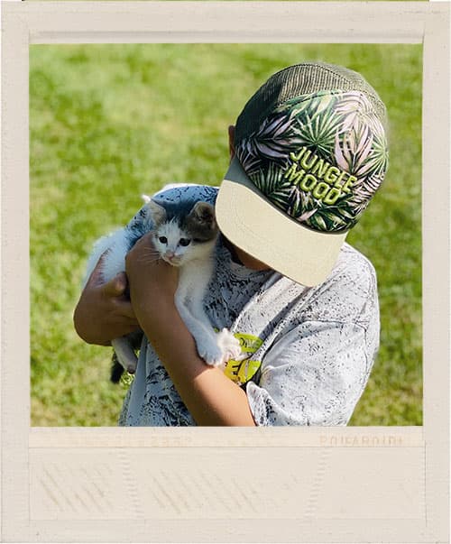 Haustiere im Green Valley Glamping