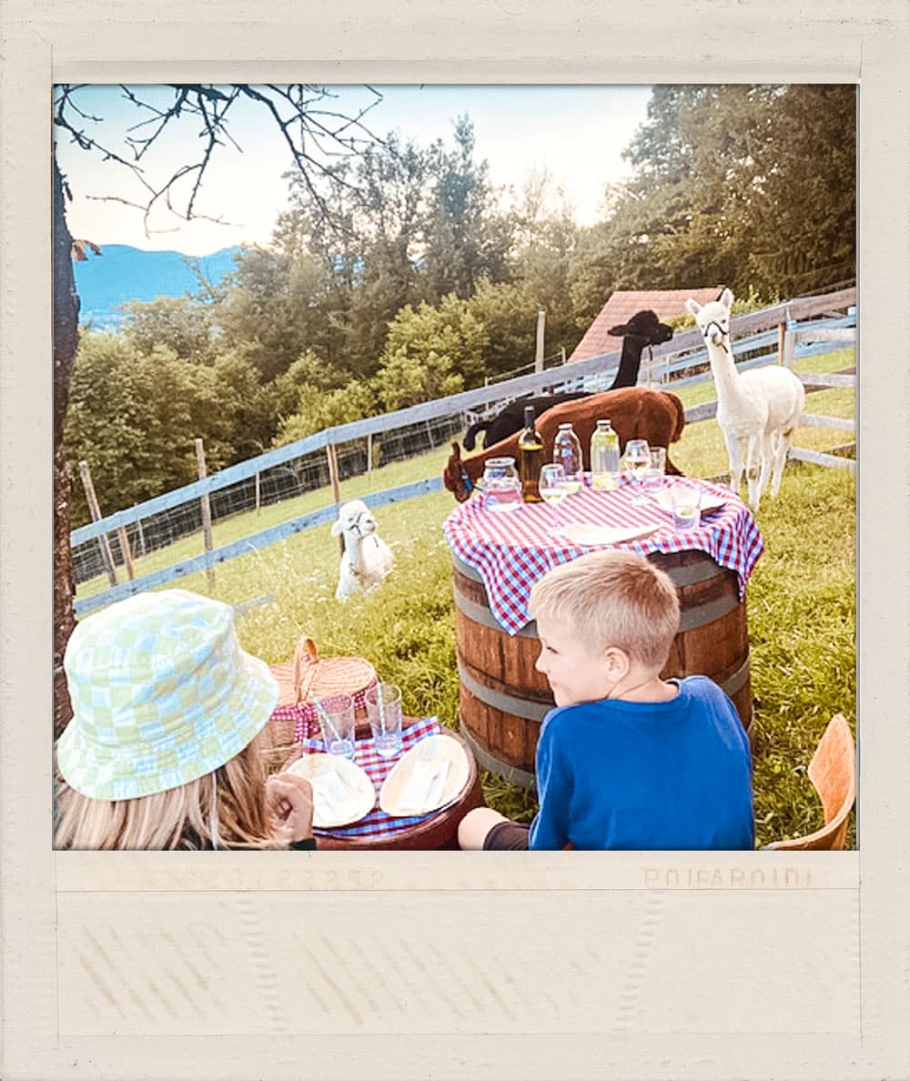 Green Valley Glamping, Šešče pri Preboldu